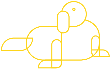 nh_ac_weddell-seal
