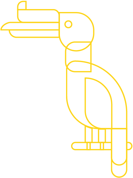 nh_am_hornbill