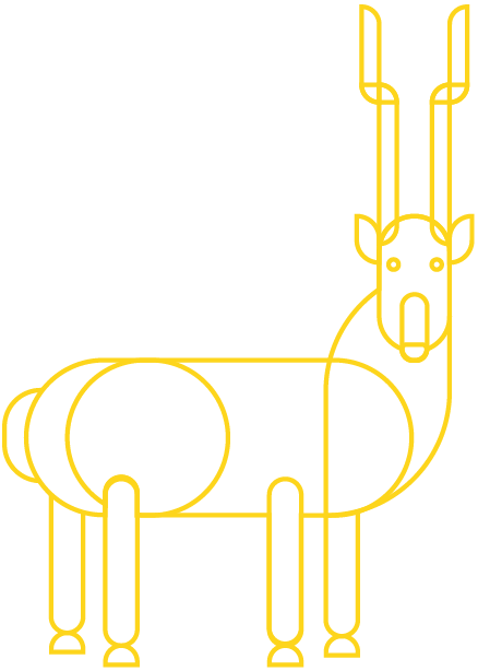 nh_tv_tibetan-antelope